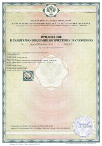 СЭЗ 74.04.05.000.М.000021.02.10. Приложение